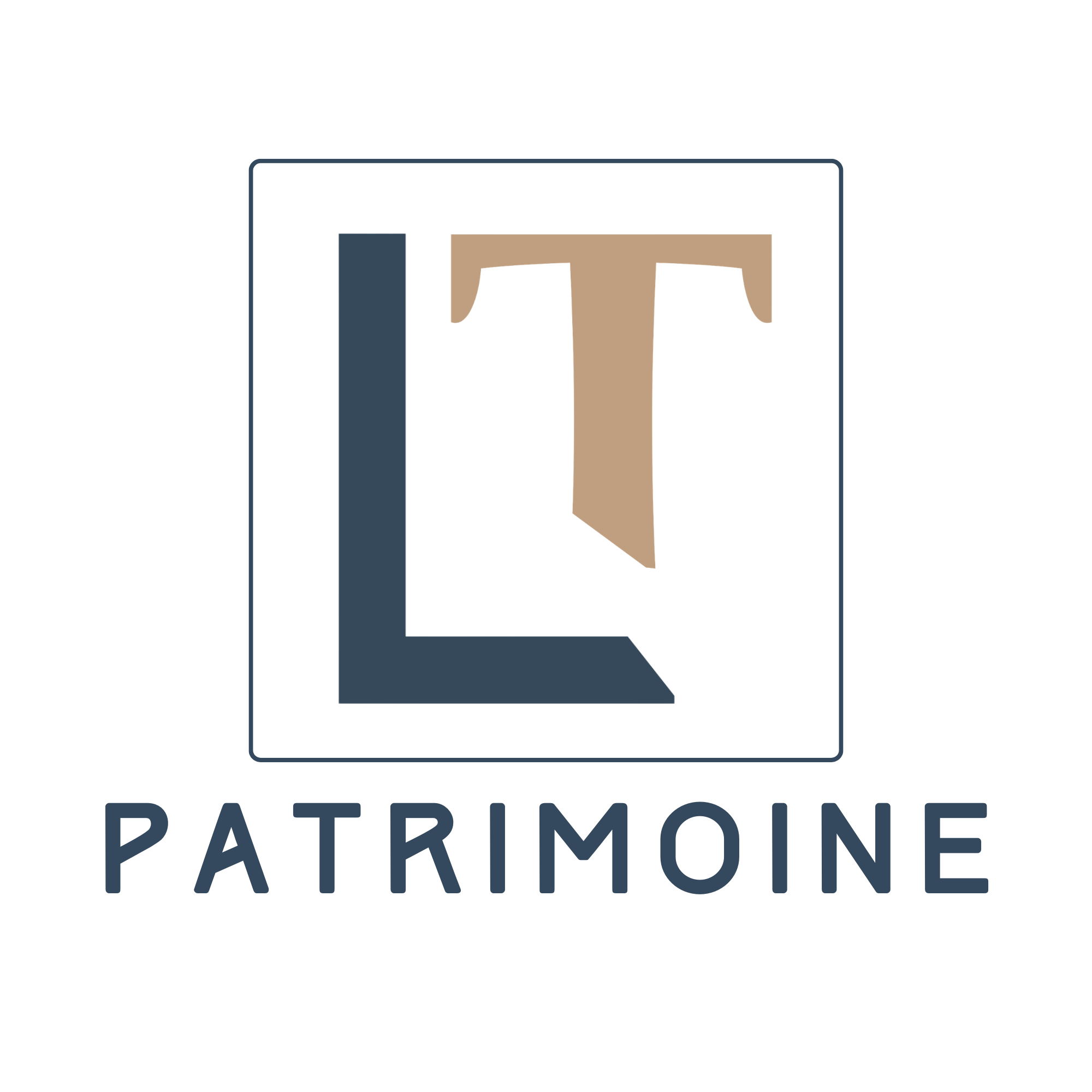 Logo Léo Tremoureux - Conseil en Investissements Financiers